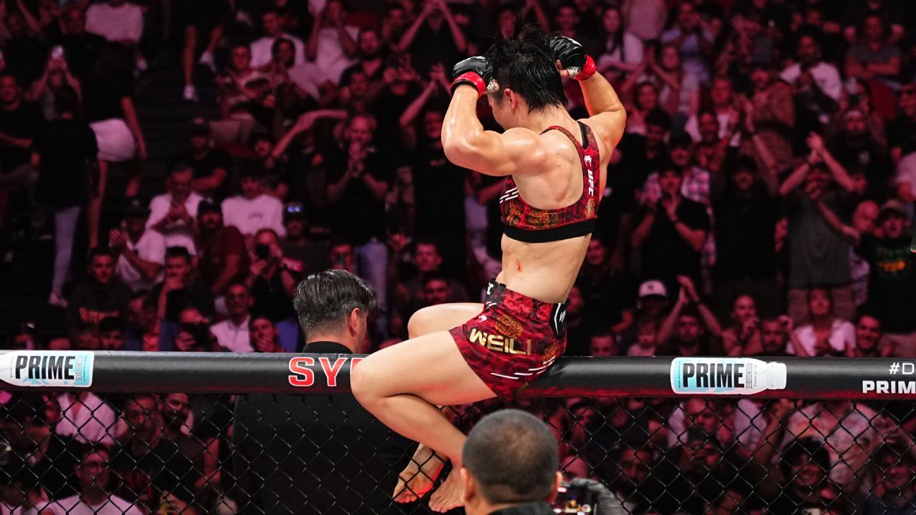 市场动态也 市场动态也